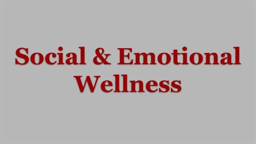 social emotional wellness button